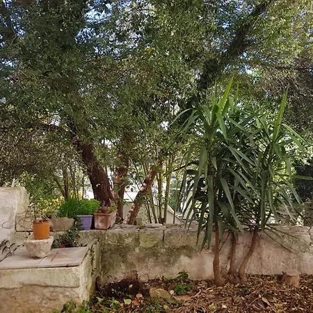 Apartamento La Casetta *